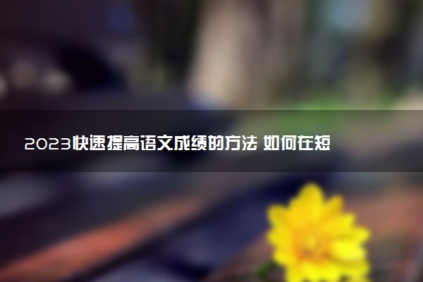2023快速提高语文成绩的方法 如何在短时间内迅速提高成绩