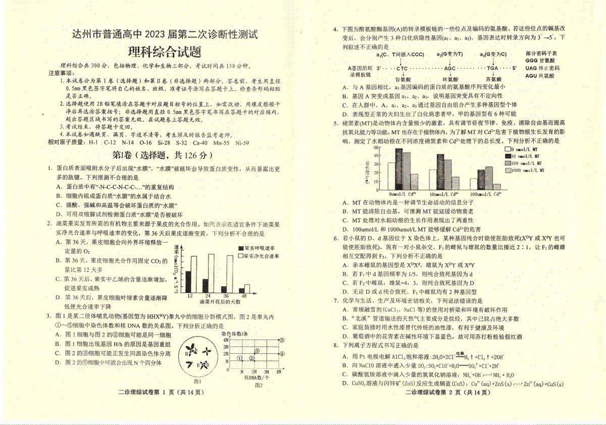 2023年四川省達(dá)州市高三下期第二次診斷性考試?yán)砭C試卷