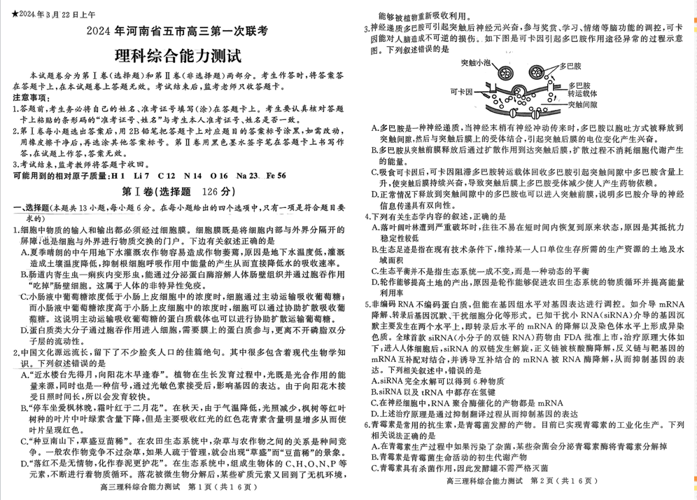 2024年河南五市高三第一次聯(lián)考理綜試題及答案